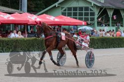 Dateiname=20250810_r09_040_R08_0069.jpg
Dateigröße=342KB
Abmessungen: 1000x667
hinzugefügt am: 17. August 2025 20250810_r09_040_R08_0069.jpg