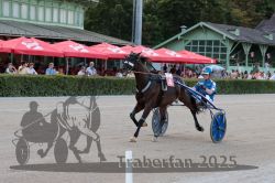 Dateiname=20250810_r09_041_R08_0072.jpg
Dateigröße=324KB
Abmessungen: 1000x667
hinzugefügt am: 17. August 2025 20250810_r09_041_R08_0072.jpg