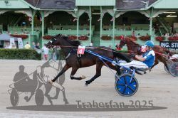 Dateiname=20250810_r09_045_R08_0079.jpg
Dateigröße=312KB
Abmessungen: 1000x667
hinzugefügt am: 17. August 2025 20250810_r09_045_R08_0079.jpg