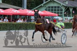 Dateiname=20250810_r09_046_R08_0080.jpg
Dateigröße=312KB
Abmessungen: 1000x667
hinzugefügt am: 17. August 2025 20250810_r09_046_R08_0080.jpg