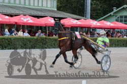 Dateiname=20250810_r09_047_R08_0082.jpg
Dateigröße=317KB
Abmessungen: 1000x667
hinzugefügt am: 17. August 2025 20250810_r09_047_R08_0082.jpg