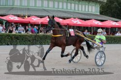 Dateiname=20250810_r09_048_R08_0084.jpg
Dateigröße=307KB
Abmessungen: 1000x667
hinzugefügt am: 17. August 2025 20250810_r09_048_R08_0084.jpg