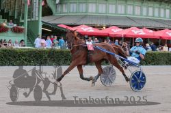 Dateiname=20250810_r09_049_R08_0086.jpg
Dateigröße=321KB
Abmessungen: 1000x667
hinzugefügt am: 17. August 2025 20250810_r09_049_R08_0086.jpg