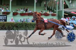 Dateiname=20250810_r09_050_R08_0088.jpg
Dateigröße=302KB
Abmessungen: 1000x667
hinzugefügt am: 17. August 2025 20250810_r09_050_R08_0088.jpg