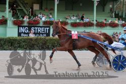 Dateiname=20250810_r09_051_R08_0089.jpg
Dateigröße=313KB
Abmessungen: 1000x667
hinzugefügt am: 17. August 2025 20250810_r09_051_R08_0089.jpg