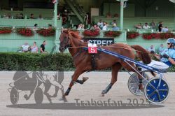 Dateiname=20250810_r09_052_R08_0090.jpg
Dateigröße=318KB
Abmessungen: 1000x667
hinzugefügt am: 17. August 2025 20250810_r09_052_R08_0090.jpg