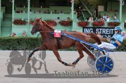 Dateiname=20250810_r09_053_R08_0091.jpg
Dateigröße=323KB
Abmessungen: 1000x667
hinzugefügt am: 17. August 2025 20250810_r09_053_R08_0091.jpg