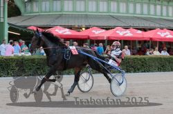 Dateiname=20250810_r09_056_R08_0096.jpg
Dateigröße=298KB
Abmessungen: 1000x667
hinzugefügt am: 17. August 2025 20250810_r09_056_R08_0096.jpg