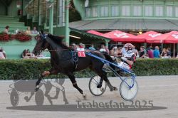 Dateiname=20250810_r09_057_R08_0097.jpg
Dateigröße=292KB
Abmessungen: 1000x667
hinzugefügt am: 17. August 2025 20250810_r09_057_R08_0097.jpg