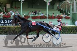 Dateiname=20250810_r09_058_R08_0099.jpg
Dateigröße=294KB
Abmessungen: 1000x667
hinzugefügt am: 17. August 2025 20250810_r09_058_R08_0099.jpg