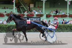 Dateiname=20250810_r09_059_R08_0100.jpg
Dateigröße=292KB
Abmessungen: 1000x667
hinzugefügt am: 17. August 2025 20250810_r09_059_R08_0100.jpg