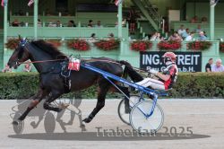 Dateiname=20250810_r09_060_R08_0101.jpg
Dateigröße=310KB
Abmessungen: 1000x667
hinzugefügt am: 17. August 2025 20250810_r09_060_R08_0101.jpg