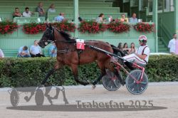 Dateiname=20250810_r09_064_R08_0105.jpg
Dateigröße=337KB
Abmessungen: 1000x667
hinzugefügt am: 17. August 2025 20250810_r09_064_R08_0105.jpg