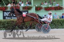 Dateiname=20250810_r09_065_R08_0107.jpg
Dateigröße=339KB
Abmessungen: 1000x667
hinzugefügt am: 17. August 2025 20250810_r09_065_R08_0107.jpg