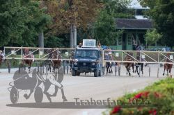 Dateiname=20250810_r09_066_R08_0113.jpg
Dateigröße=338KB
Abmessungen: 1000x667
hinzugefügt am: 17. August 2025 20250810_r09_066_R08_0113.jpg