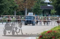 Dateiname=20250810_r09_067_R08_0114.jpg
Dateigröße=338KB
Abmessungen: 1000x667
hinzugefügt am: 17. August 2025 20250810_r09_067_R08_0114.jpg