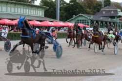 Dateiname=20250810_r09_074_R08_0125.jpg
Dateigröße=362KB
Abmessungen: 1000x667
hinzugefügt am: 17. August 2025 20250810_r09_074_R08_0125.jpg