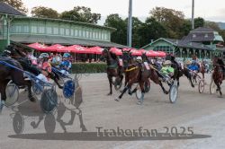 Dateiname=20250810_r09_075_R08_0127.jpg
Dateigröße=356KB
Abmessungen: 1000x667
hinzugefügt am: 17. August 2025 20250810_r09_075_R08_0127.jpg