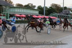 Dateiname=20250810_r09_076_R08_0128.jpg
Dateigröße=348KB
Abmessungen: 1000x667
hinzugefügt am: 17. August 2025 20250810_r09_076_R08_0128.jpg