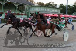 Dateiname=20250810_r09_079_R08_0132.jpg
Dateigröße=333KB
Abmessungen: 1000x667
hinzugefügt am: 17. August 2025 20250810_r09_079_R08_0132.jpg