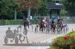 Dateiname=20250810_r09_081_R08_0134.jpg
Dateigröße=312KB
Abmessungen: 1000x667
hinzugefügt am: 17. August 2025 20250810_r09_081_R08_0134.jpg