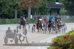 Dateiname=20250810_r09_082_R08_0136.jpg
Dateigröße=308KB
Abmessungen: 1000x667
hinzugefügt am: 17. August 2025 20250810_r09_082_R08_0136.jpg