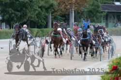 Dateiname=20250810_r09_083_R08_0138.jpg
Dateigröße=321KB
Abmessungen: 1000x667
hinzugefügt am: 17. August 2025 20250810_r09_083_R08_0138.jpg