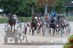 Dateiname=20250810_r09_084_R08_0139.jpg
Dateigröße=331KB
Abmessungen: 1000x667
hinzugefügt am: 17. August 2025 20250810_r09_084_R08_0139.jpg