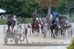 Dateiname=20250810_r09_085_R08_0140.jpg
Dateigröße=337KB
Abmessungen: 1000x667
hinzugefügt am: 17. August 2025 20250810_r09_085_R08_0140.jpg