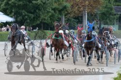 Dateiname=20250810_r09_086_R08_0141.jpg
Dateigröße=339KB
Abmessungen: 1000x667
hinzugefügt am: 17. August 2025 20250810_r09_086_R08_0141.jpg