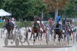 Dateiname=20250810_r09_087_R08_0142.jpg
Dateigröße=341KB
Abmessungen: 1000x667
hinzugefügt am: 17. August 2025 20250810_r09_087_R08_0142.jpg