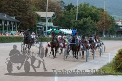 Dateiname=20250810_r09_089_R08_0145.jpg
Dateigröße=359KB
Abmessungen: 1000x667
hinzugefügt am: 17. August 2025 20250810_r09_089_R08_0145.jpg