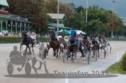 Dateiname=20250810_r09_090_R08_0147.jpg
Dateigröße=351KB
Abmessungen: 1000x667
hinzugefügt am: 17. August 2025 20250810_r09_090_R08_0147.jpg