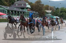 Dateiname=20250810_r09_091_R08_0150.jpg
Dateigröße=368KB
Abmessungen: 1000x667
hinzugefügt am: 17. August 2025 20250810_r09_091_R08_0150.jpg