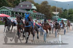 Dateiname=20250810_r09_092_R08_0151.jpg
Dateigröße=365KB
Abmessungen: 1000x667
hinzugefügt am: 17. August 2025 20250810_r09_092_R08_0151.jpg