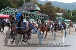 Dateiname=20250810_r09_093_R08_0152.jpg
Dateigröße=370KB
Abmessungen: 1000x667
hinzugefügt am: 17. August 2025 20250810_r09_093_R08_0152.jpg