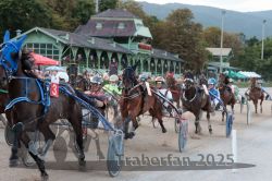 Dateiname=20250810_r09_094_R08_0153.jpg
Dateigröße=329KB
Abmessungen: 1000x667
hinzugefügt am: 17. August 2025 20250810_r09_094_R08_0153.jpg