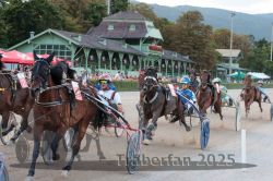 Dateiname=20250810_r09_095_R08_0155.jpg
Dateigröße=347KB
Abmessungen: 1000x667
hinzugefügt am: 17. August 2025 20250810_r09_095_R08_0155.jpg