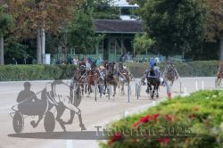 Dateiname=20250810_r09_098_R08_0160.jpg
Dateigröße=314KB
Abmessungen: 1000x667
hinzugefügt am: 17. August 2025 20250810_r09_098_R08_0160.jpg