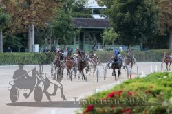 Dateiname=20250810_r09_099_R08_0161.jpg
Dateigröße=321KB
Abmessungen: 1000x667
hinzugefügt am: 17. August 2025 20250810_r09_099_R08_0161.jpg