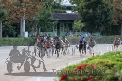 Dateiname=20250810_r09_100_R08_0162.jpg
Dateigröße=322KB
Abmessungen: 1000x667
hinzugefügt am: 17. August 2025 20250810_r09_100_R08_0162.jpg