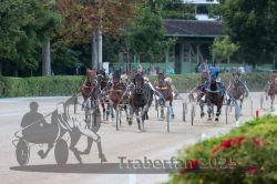 Dateiname=20250810_r09_101_R08_0164.jpg
Dateigröße=305KB
Abmessungen: 1000x667
hinzugefügt am: 17. August 2025 20250810_r09_101_R08_0164.jpg