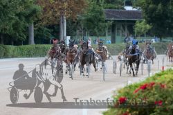 Dateiname=20250810_r09_102_R08_0165.jpg
Dateigröße=299KB
Abmessungen: 1000x667
hinzugefügt am: 17. August 2025 20250810_r09_102_R08_0165.jpg