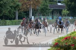 Dateiname=20250810_r09_104_R08_0167.jpg
Dateigröße=303KB
Abmessungen: 1000x667
hinzugefügt am: 17. August 2025 20250810_r09_104_R08_0167.jpg