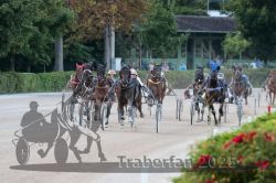 Dateiname=20250810_r09_105_R08_0168.jpg
Dateigröße=304KB
Abmessungen: 1000x667
hinzugefügt am: 17. August 2025 20250810_r09_105_R08_0168.jpg