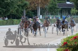 Dateiname=20250810_r09_106_R08_0169.jpg
Dateigröße=303KB
Abmessungen: 1000x667
hinzugefügt am: 17. August 2025 20250810_r09_106_R08_0169.jpg