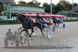 Dateiname=20250810_r09_131_R08_0195.jpg
Dateigröße=321KB
Abmessungen: 1000x667
hinzugefügt am: 17. August 2025 20250810_r09_131_R08_0195.jpg