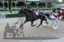 Dateiname=20250810_r09_133_R08_0197.jpg
Dateigröße=285KB
Abmessungen: 1000x667
hinzugefügt am: 17. August 2025 20250810_r09_133_R08_0197.jpg