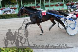 Dateiname=20250810_r09_134_R08_0198.jpg
Dateigröße=327KB
Abmessungen: 1000x667
hinzugefügt am: 17. August 2025 20250810_r09_134_R08_0198.jpg