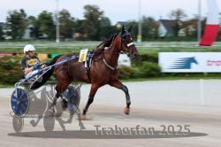 Dateiname=20250810_r10_022_R10_0048.jpg
Dateigröße=244KB
Abmessungen: 1000x667
hinzugefügt am: 17. August 2025 20250810_r10_022_R10_0048.jpg